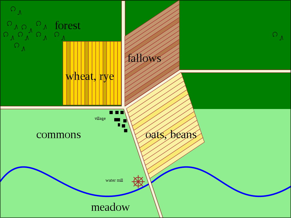 vegetation health