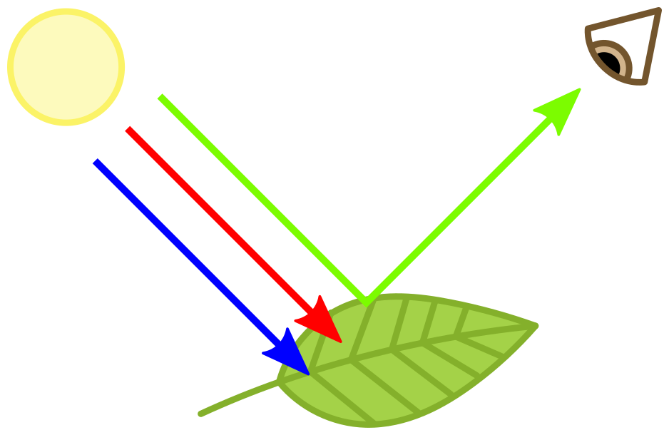 vegetation health